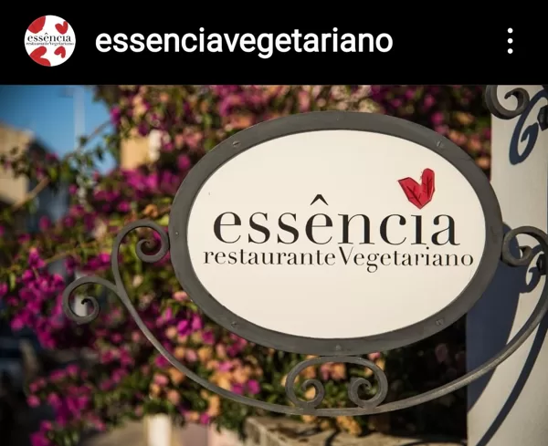 https://essenciavegetariano.pt/